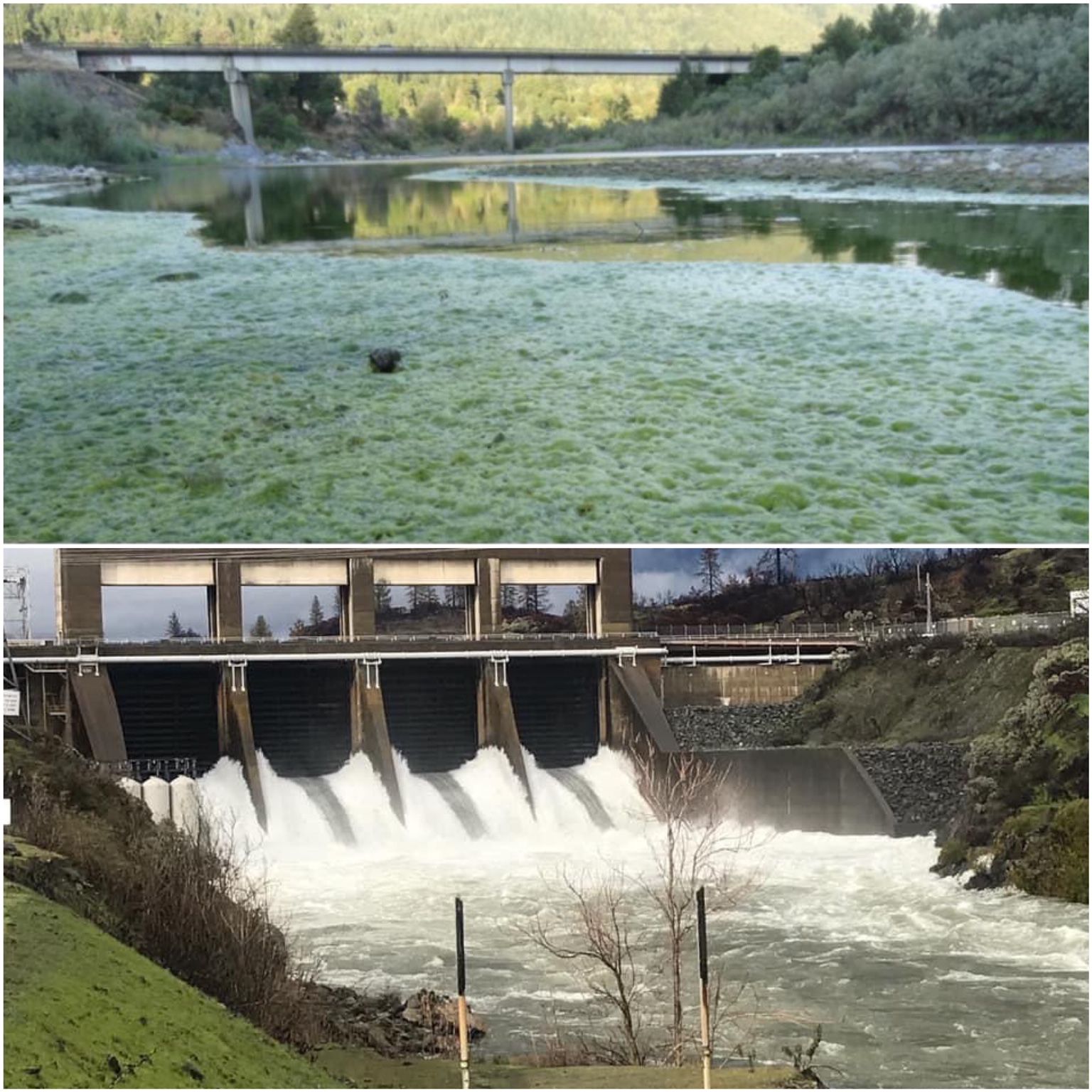 Hoopa Tribe Strikes at Interior’s Coveted Westlands Water District